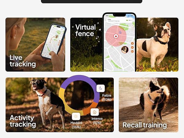 Text reads 'Live tracking', 'Virtual fence', 'Activity tracking', and 'RecallTraining'. Collage of dog training app screenshots and photos of dogs outdoors.