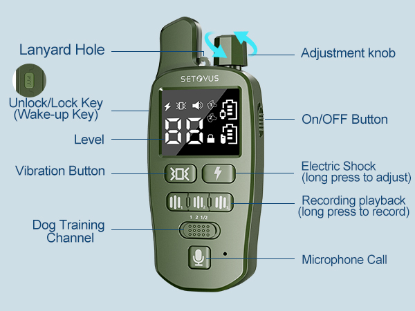 dog training collar