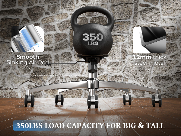 Ergonomic Desk Chair