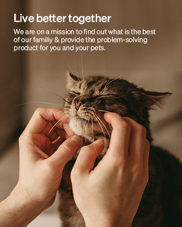 automatic cat feeder