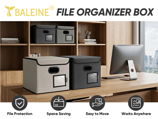 file organizer box