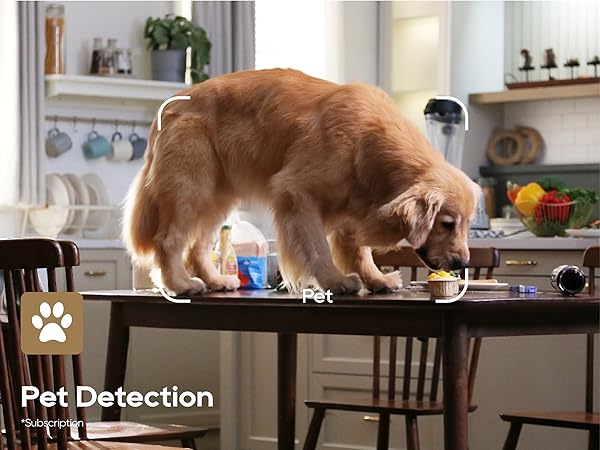 Indoor Camera