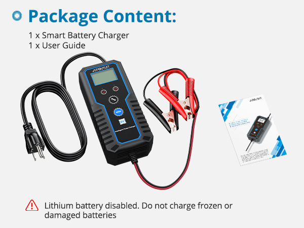 Car Battery Charger