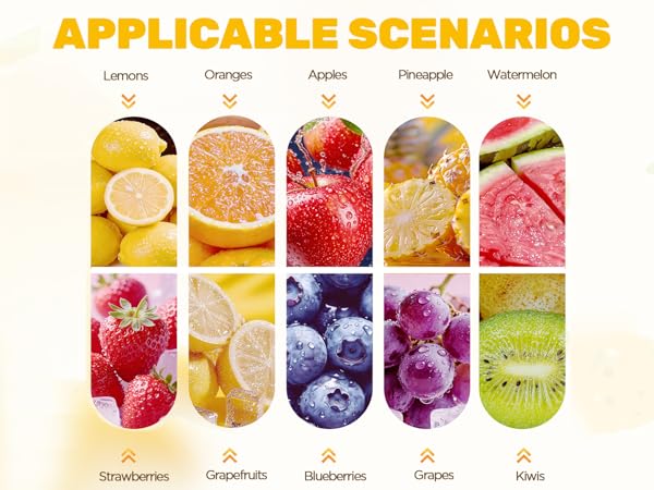 Fruit Juice Squeezer