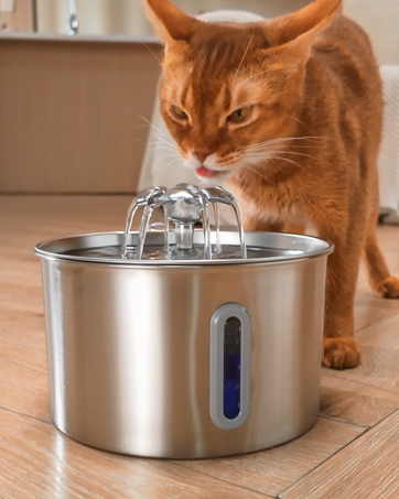 cat water fountain stainless steel