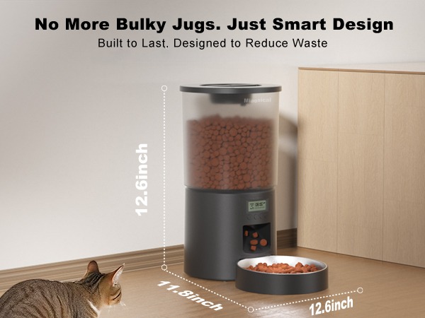 timed pet feeder cat