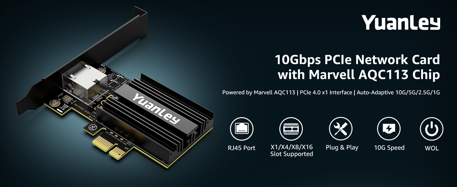 10g network card