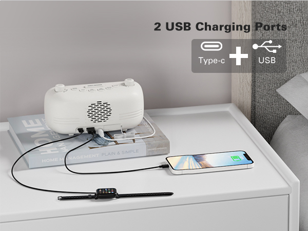 2 Charging Ports