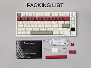 AK820 Pro Beige Gift Switch