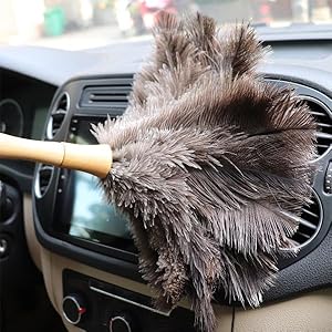 Feather Dusters for Car