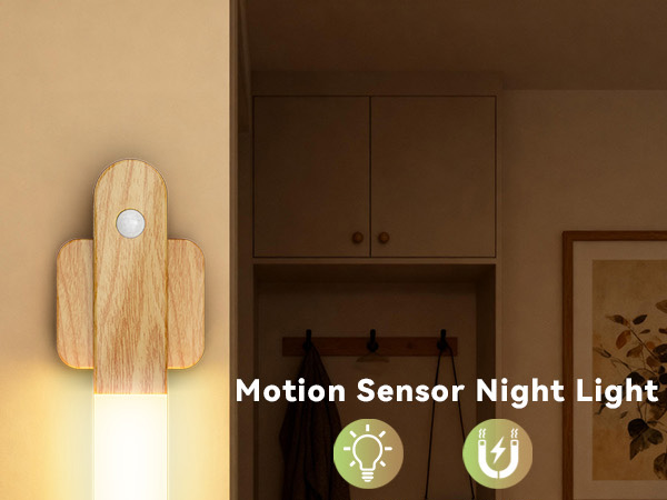 motion sensor light