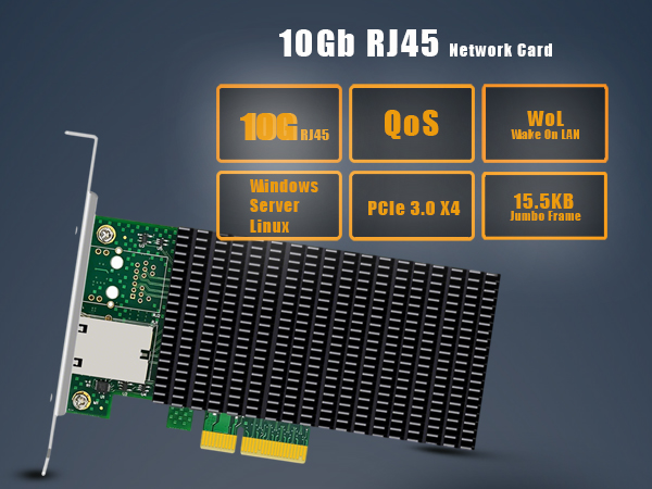 10 gb nic