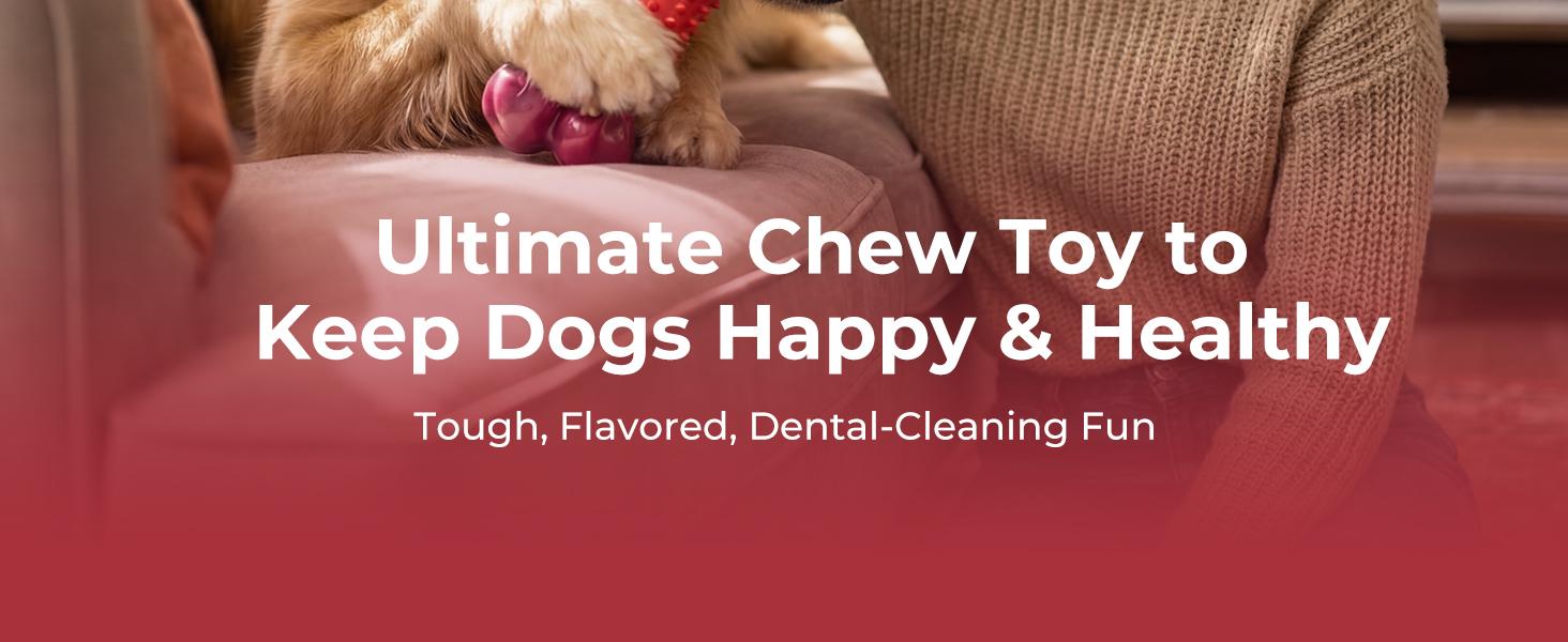 dog chew toys