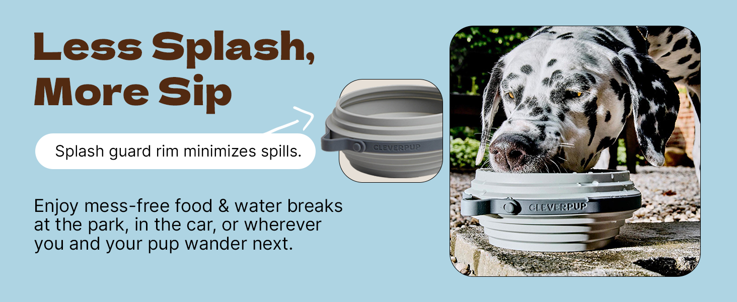 Less Splash More Sip