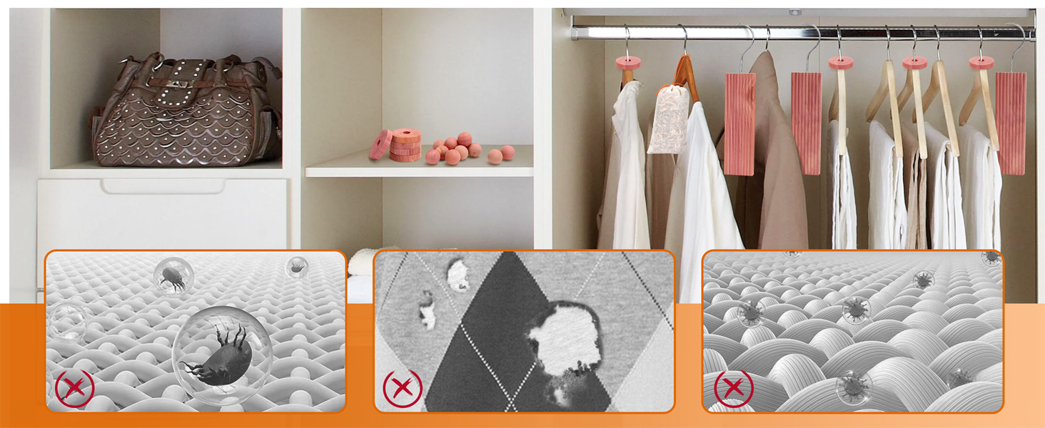 cedarwood for closets homode
