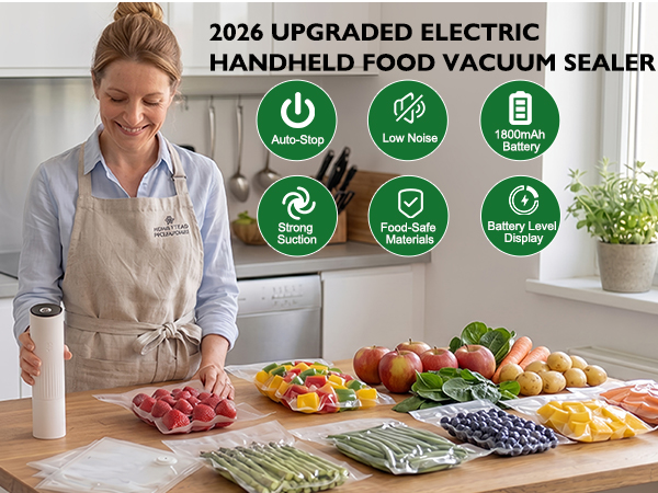 handheld vacuum sealer for food