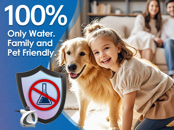 handheld steam cleaner