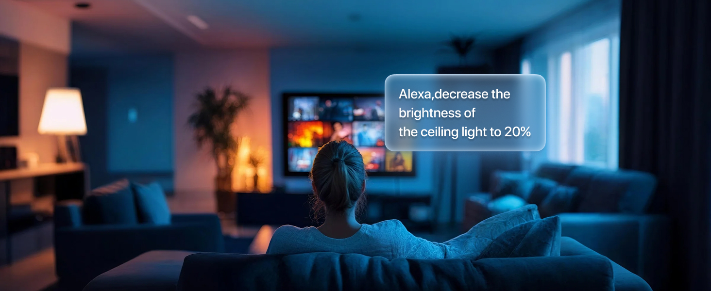 smart ceiling light 2