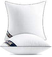 MIULEE 20x20 Pillow Inserts Set of 2 Throw Pillows 20 Inch Premium Down Alternative Pillow Insert...