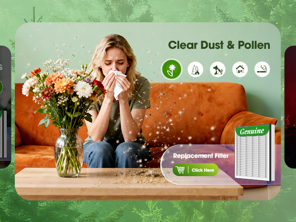 air purifiers for allergies