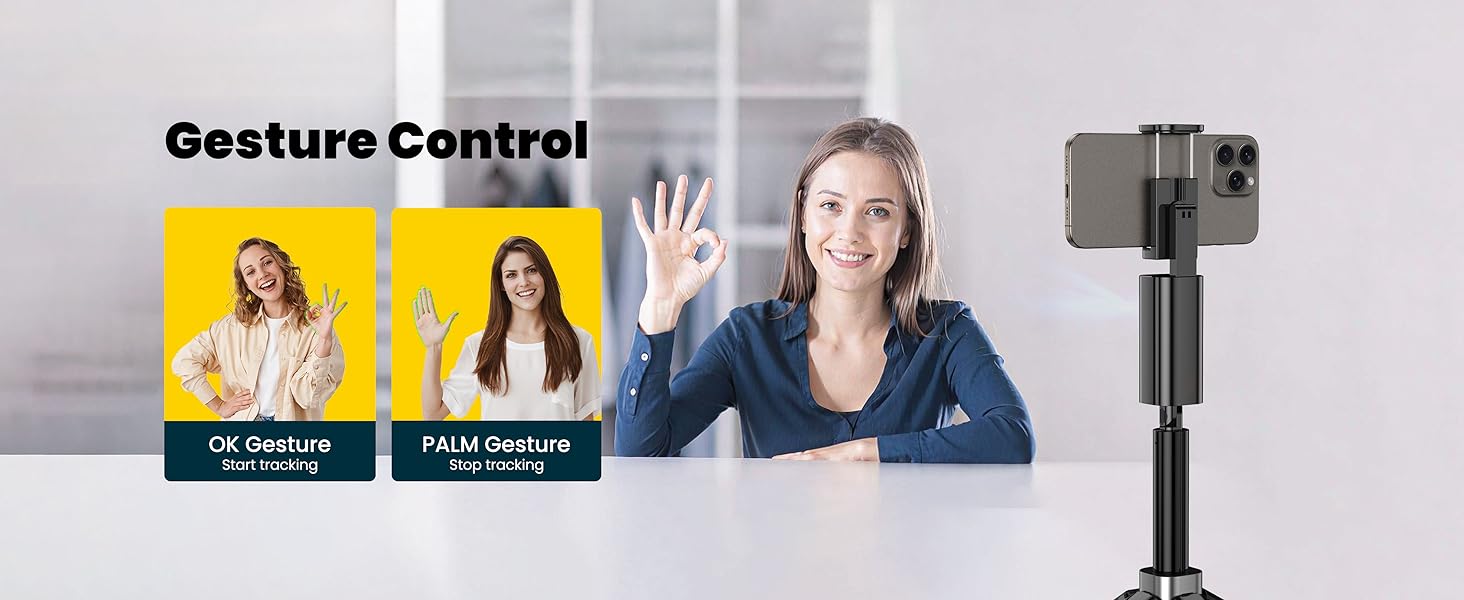 Gesture Control
