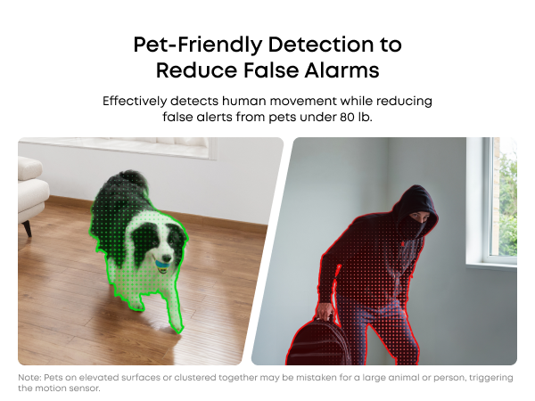Pet-Friendly Detection to Reduce False Alarms