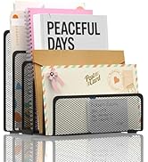 ReePlan Mail Organizer Countertop with 5 Slot, Metal Mail Holder for Desk, File Holder Letter Sor...