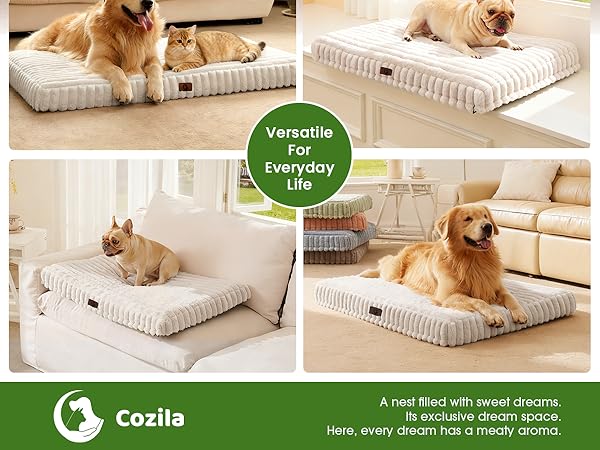 dog bed