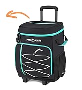 cooler cooler bag