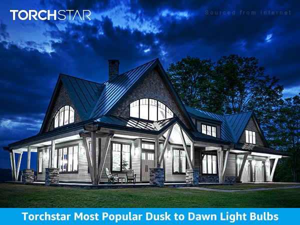 dusk to dawn light bulb