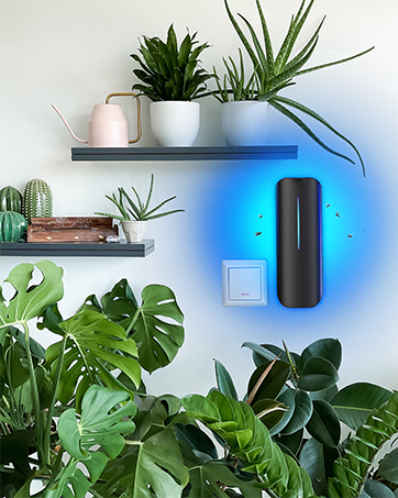 fly trap indoor pet safe