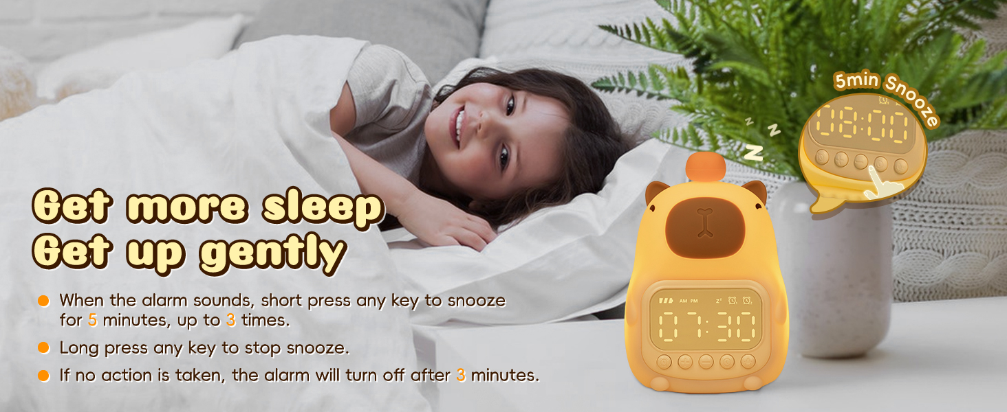cute capybara light