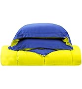 Clara Clark 2-Piece Goose Down Alternative Reversible Comforter Set, Twin, Lime Green/Royal Blue
