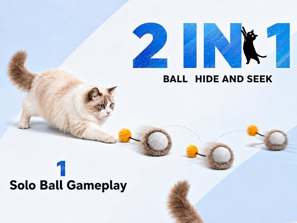 2 in 1