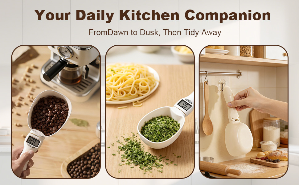 Daily Kitchen CompanionYour FromDawn to Dusk, Then Tidy Away