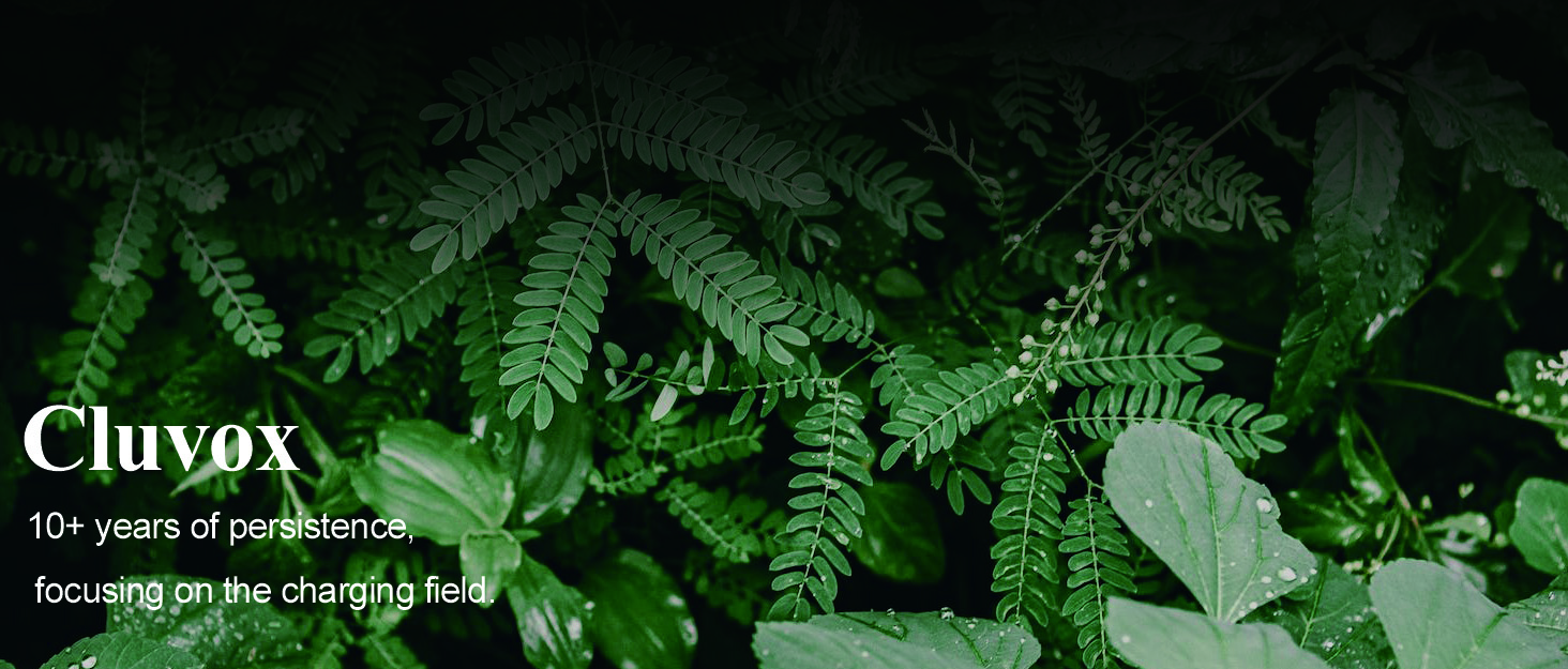 Cluvox super fast car charger