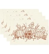 RABUSOFA Rust Pumpkin Sunflower Fall Placemats 12x18 Inch Set of 4 | Line Drawing Autumn Thanksgi...