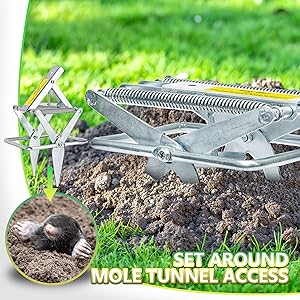 mole