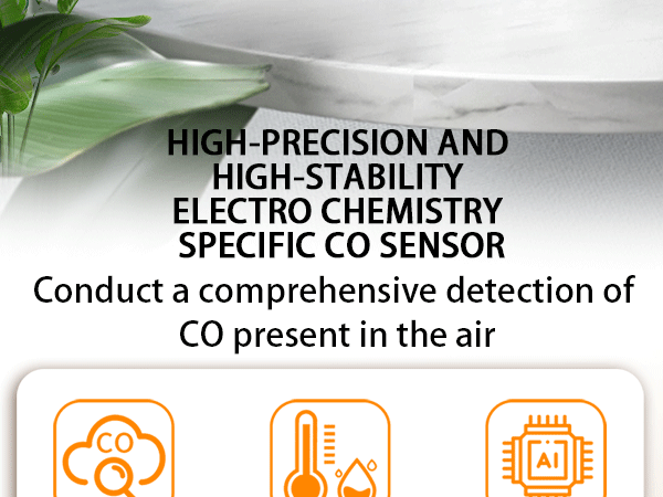 carbon monoxide detectors 