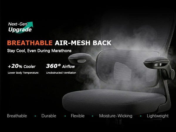 4-ergonomic chair