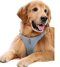 https://m.media-amazon.com/images/S/aplus-media-library-service-media/56b36a20-5071-41eb-b1fe-3e21c6203c71.__CR0,0,2000,2250_PT0_SX200_V1___.jpg