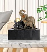 Water Fountains Indoor