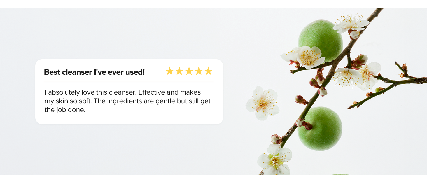 plum cleanser