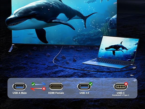 usb a to hdmi