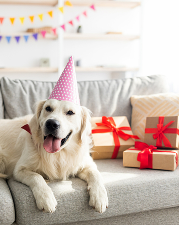 pet waste bags