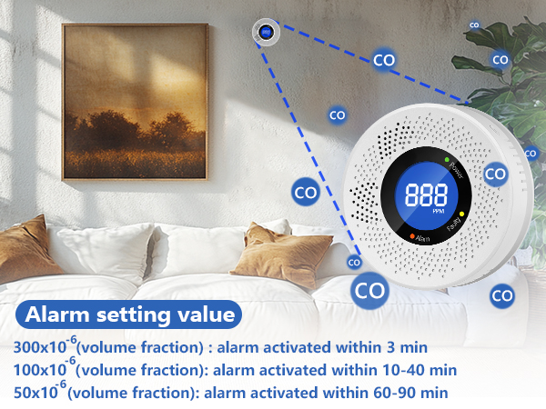 carbon monoxide detector
