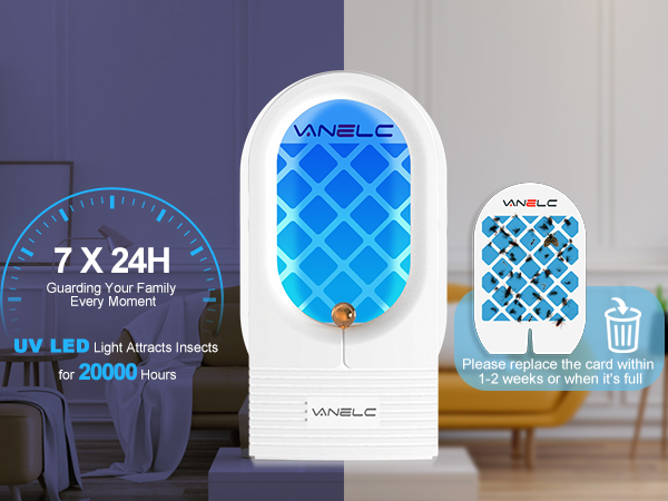 Plug-in Flying Insect Trap for Fruit Flies, Moths, Gnat Trap Indoor, Mosquito Killer Indoor