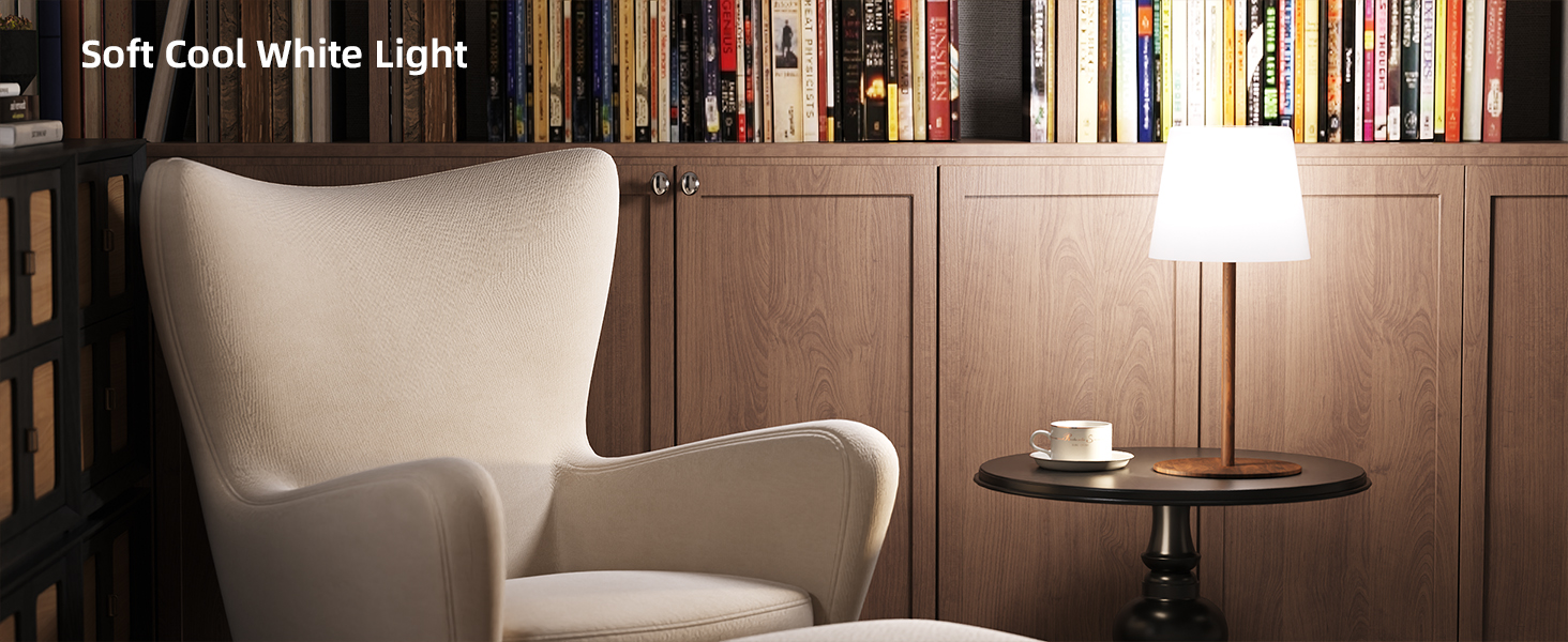 Desk Lamp for Reading