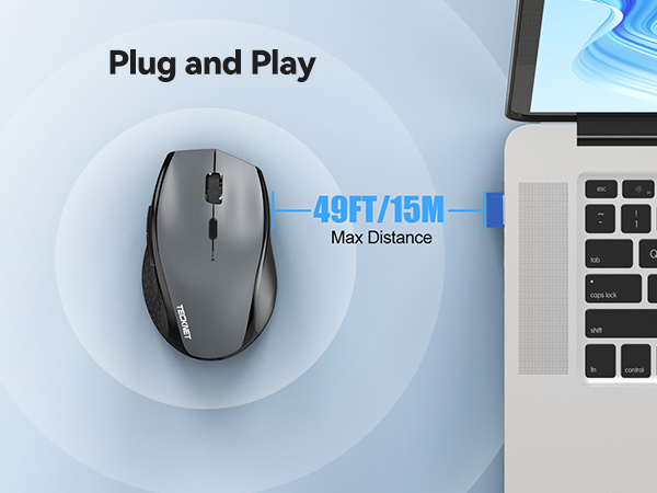 mouse