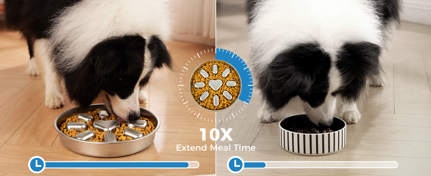 slow feeder dog bowls